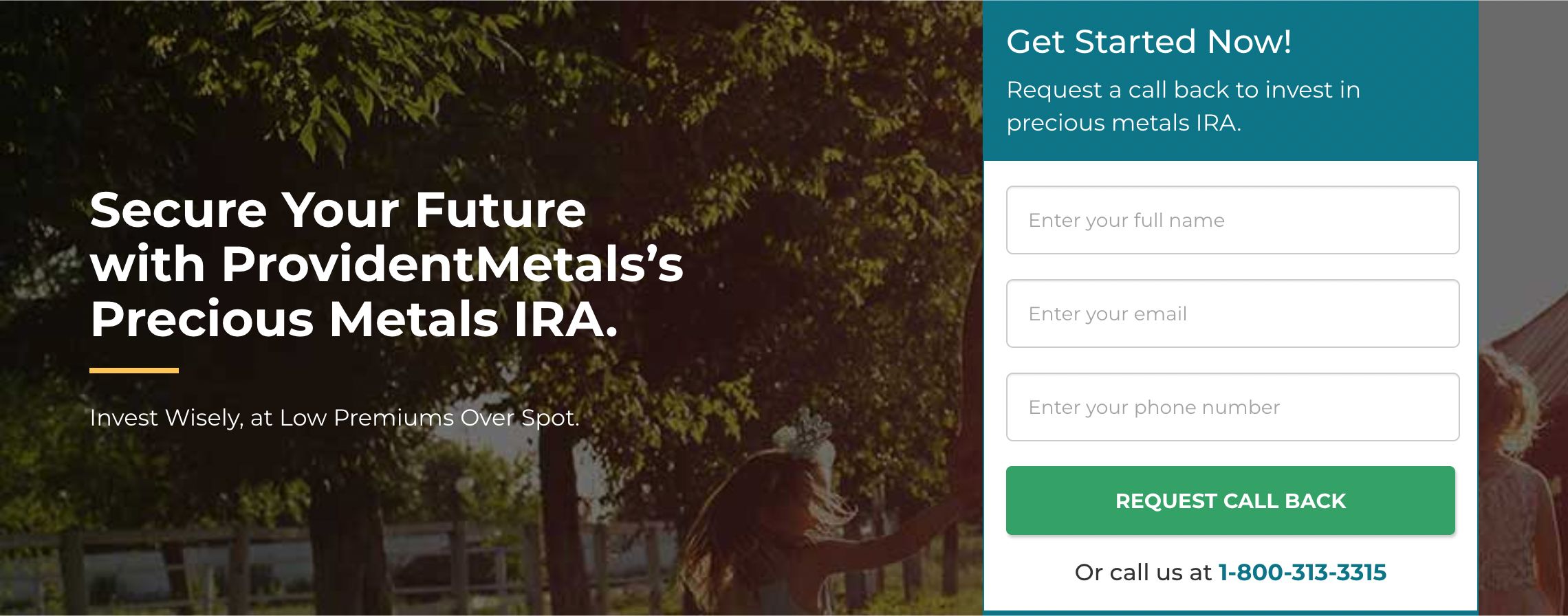 the precious metals ira option and its real limits image